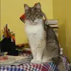 Отзыв от Эльмира Куприянова